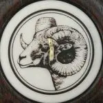 two inch ram walnut whorl ringspindle close up view of rams head