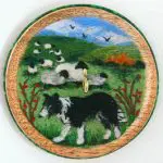 Border collie Ringspindle front view