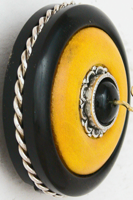 black eyed susan side view