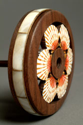 Sea shells walnut whorl Ringspindle